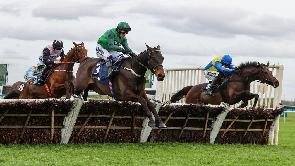Impaire Et Passe (left): renews rivalry with Langer Dan (right) in bet365 Select Hurdle at Sandown