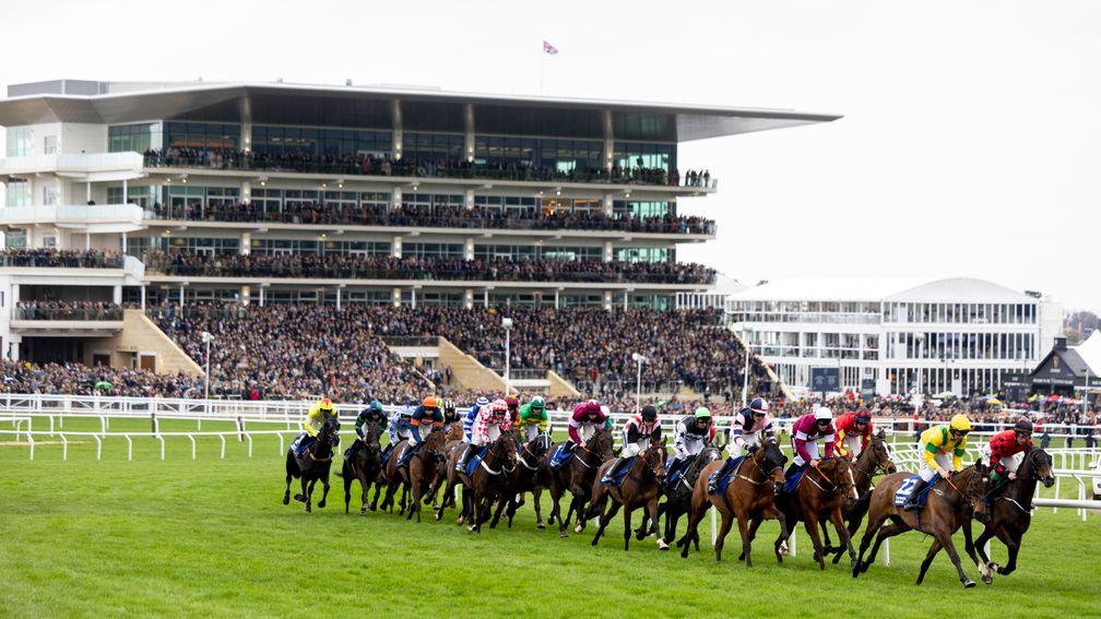 Cheltenham: ground on Gold Cup day is anticipated to be soft 