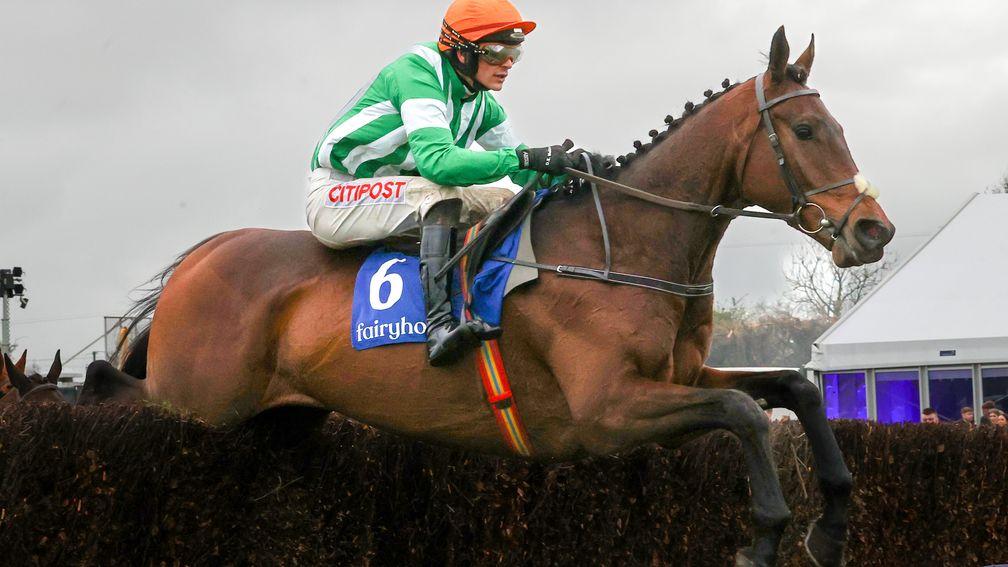 Macdermott: cut to favouritism for the Scottish National for Willie Mullins