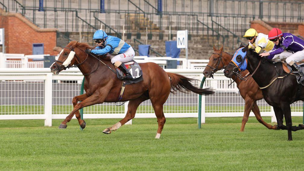 ROUNDHAY PARK (Faye McManoman) wins at AYR 18/9/20Photograph by Grossick Racing Photography 0771 046 1723