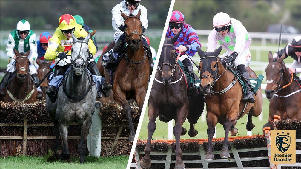 Dan Skelton's L'Eau Du Sud (left) and Willie Mullins' Bialystok are big players in the Scottish Champpion Hurdle