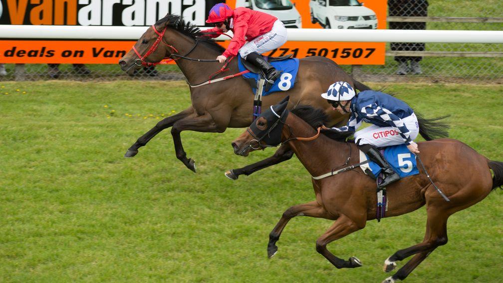 Gannon scores on the Malcolm Saunders-trained Pixeleen from Star Fire at Salisbury in 2015