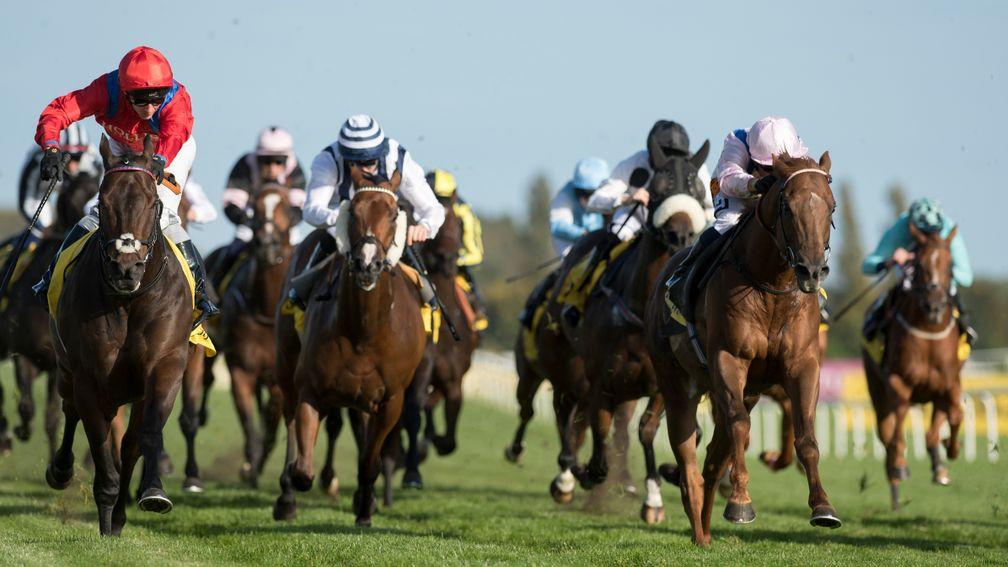 Take Cover (David Allan in red, left): wins the Group 2 sprint at Newbury on Saturday