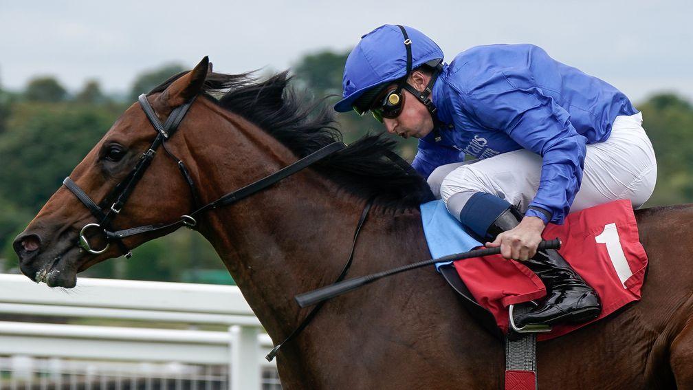 William Buick and Arabian Crown win 7f maiden stakes at Sandown