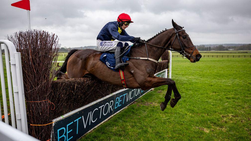 Embassy Gardens ridden by Paul Townend winning the Finlay Ford Novice Chase at Naas