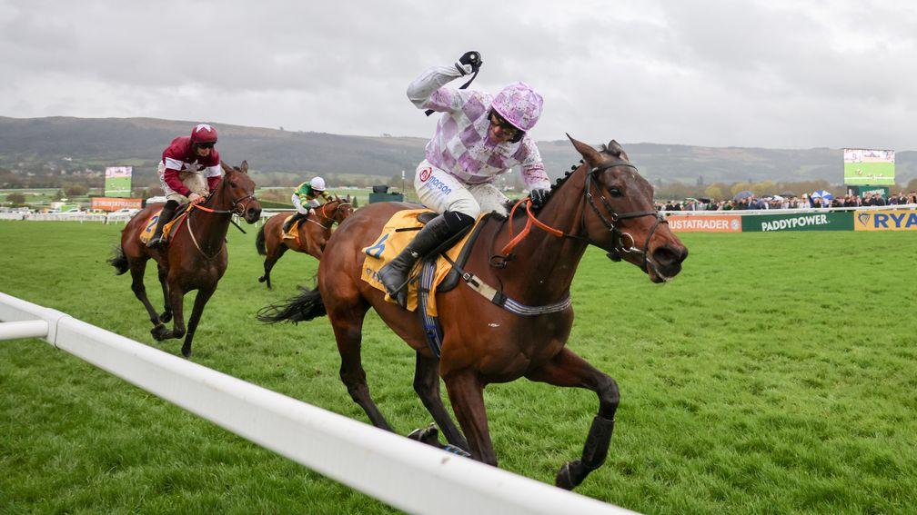 Golden Ace ridden by Lorcan Williams wins the Mares' Novices' Hurdle at Cheltenham
