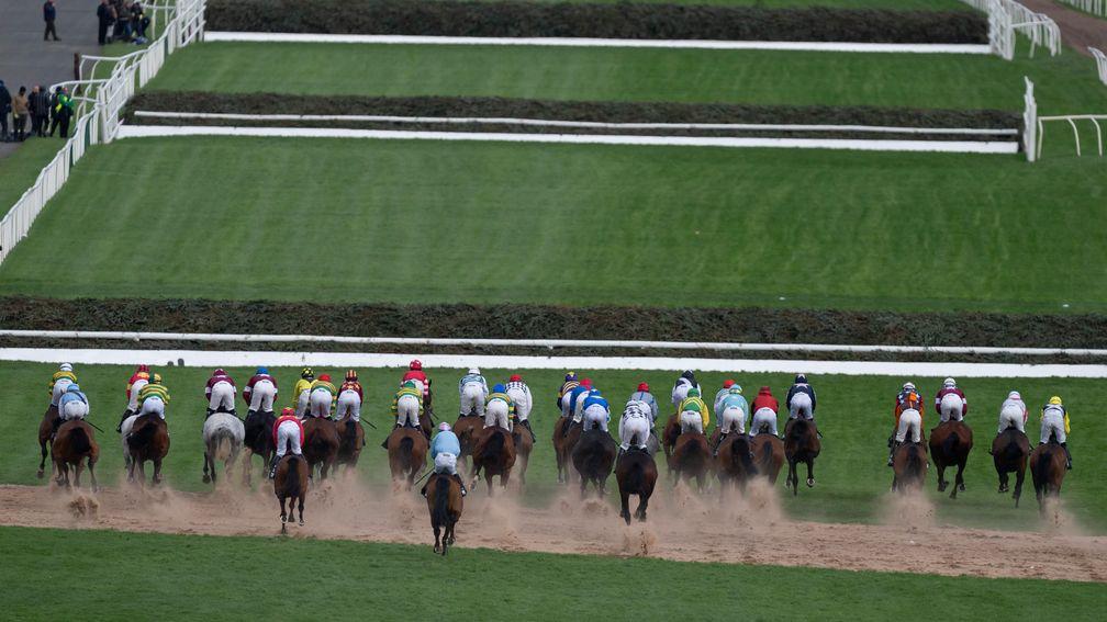 The 2024 Grand National field race towards the first fence