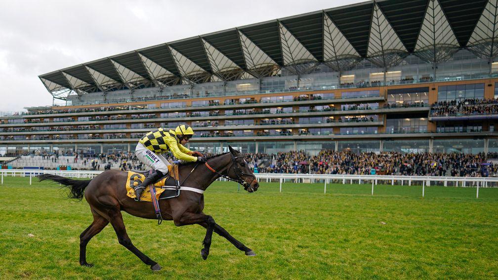 Shishkin storms to victory in front of the Ascot grandstand