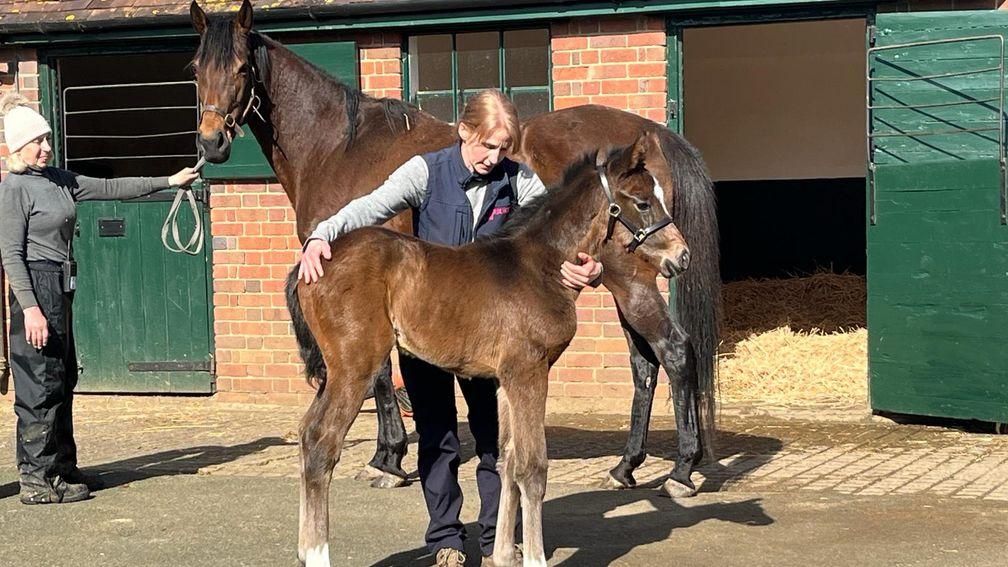Jayne McGivern's Lope Y Fernandez filly out of Pilaster