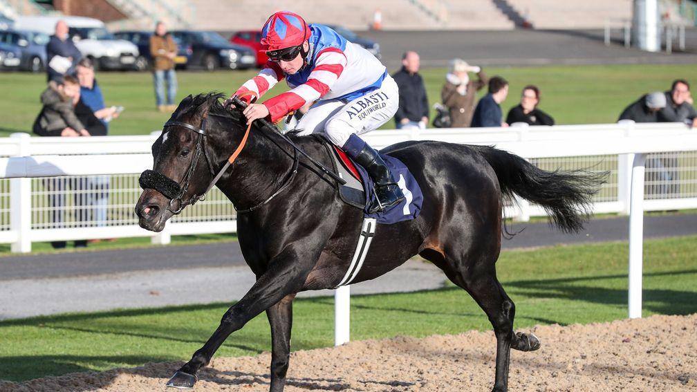 Concierge wins easily on his latest start at Newcastle in October