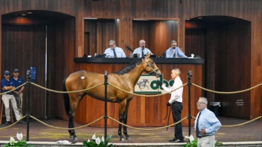 The session-topping Caracaro filly sold to Donato Lanni for $775,000 at the OBS Spring Sale