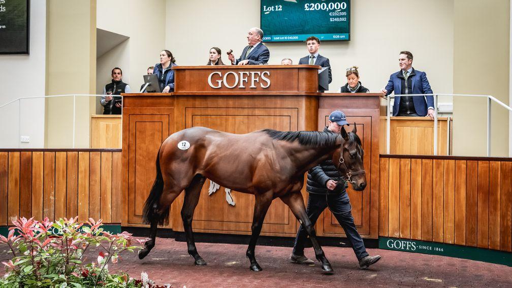 Mark Grant Racing's Acclamation colt out of Point Reyes sells to Oliver St Lawrence for £200,000 at the Goffs Doncaster Breeze-Up Sale 