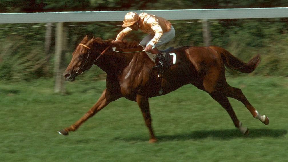 Kris and Joe Mercer register a five-length win in the Sussex Stakes at Goodwood in 1979