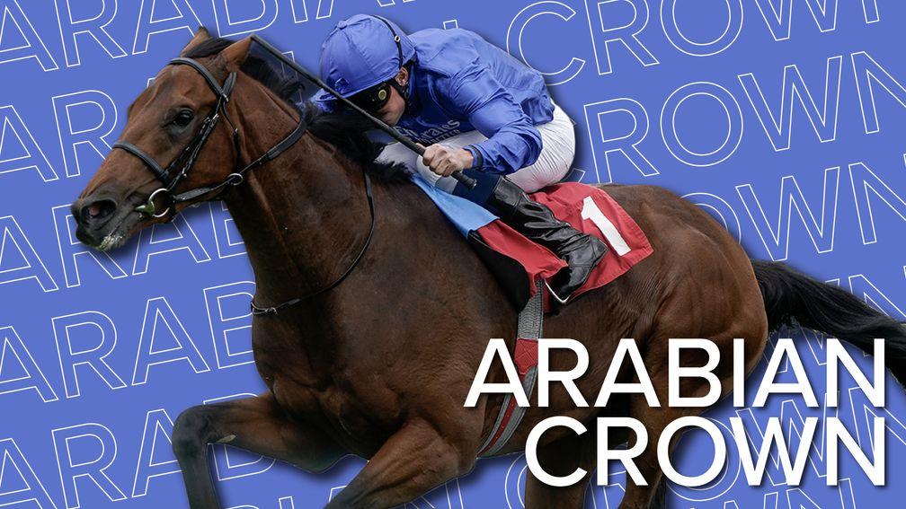 Arabian Crown: bids to enhance his Derby claims in Sandown's Classic Trial