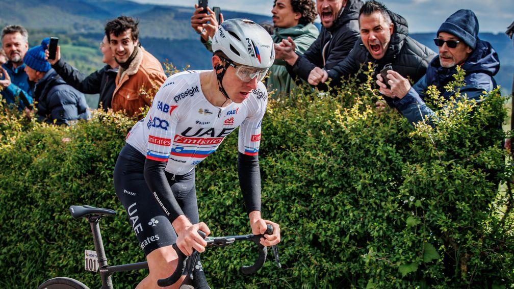 Giro d'Italia predictions and cycling betting tips