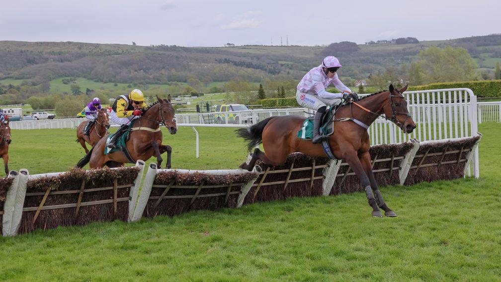Golden Ace: a winner on Cheltenham's mares' card on Thursday