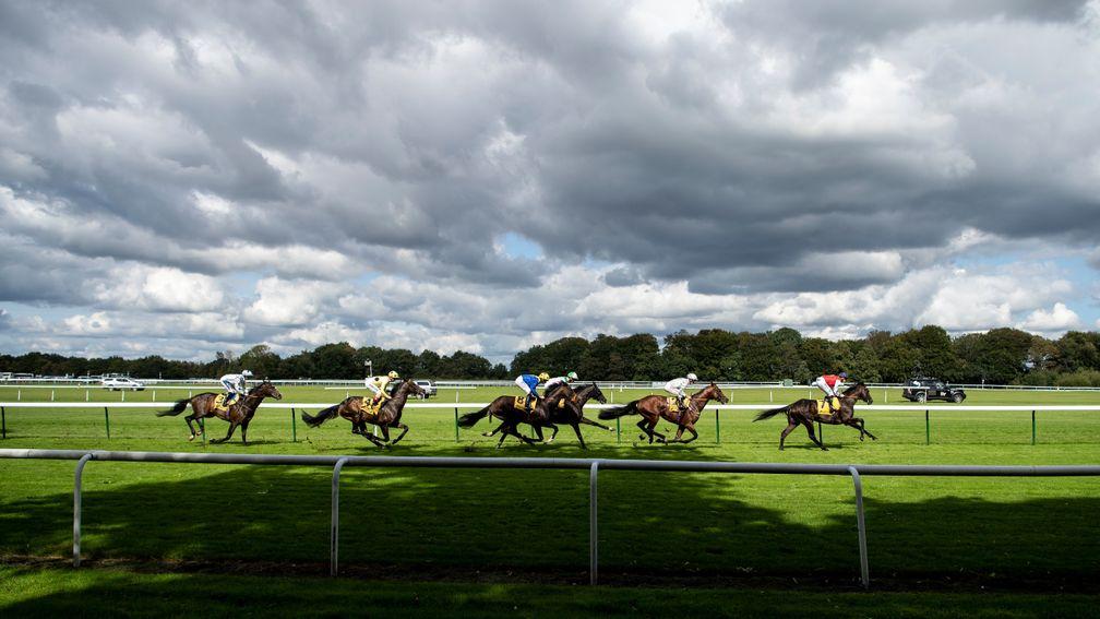 The winner Great Scot leads the field away from the start in the 1m Superior StakesHaydock 7.9.19 Pic: Edward Whitaker