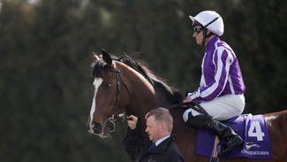 Well-bred newcomers galore on an intriguing evening at Leopardstown
