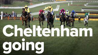 Cheltenham Festival ground changed to soft for racing on Thursday