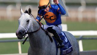 Prince Faisal acquires share in Breeders' Cup Classic winner White Abarrio