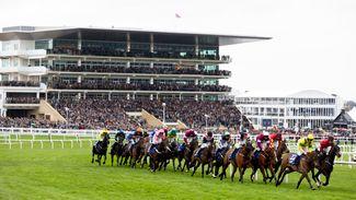 Racegoer charged with assault after attack on two racecourse staff members at Cheltenham Festival