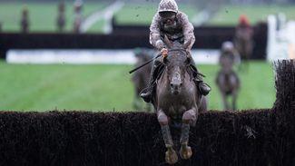 Nassalam on course for Grand National but Gary Moore questions the handicapper's assessment after Gold Cup defeat