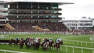 'There's bound to be changes' - Cheltenham to review festival programme after drop in quality