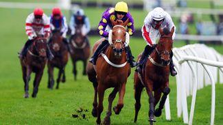 Fontwell: 'He was definitely here to run a big race' - 40-1 shot denies 1-4 favourite in huge upset