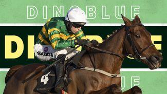 4.50 Cheltenham: Dinoblue has the stamp of a champion and sets a high bar in much-maligned Mares' Chase