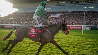 The fab four - my magic moments to savour as a memorable jumps season reaches its finale