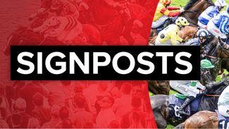 Signposts: punting pointers for Friday's racing