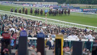 Levy yield hits £100m - but good news comes with health warning over racing's betting turnover