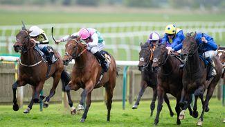 'It means a lot' - Frankel's little brother Kikkuli upholds family honour at Newmarket