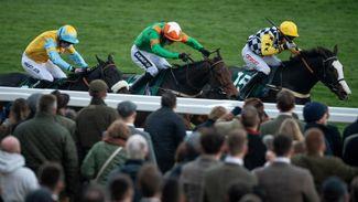 Festival sale graduate The Glancing Queen back with Cheltenham win