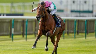 Juddmonte preparing to unleash two big guns on high-class card at Sandown on Friday