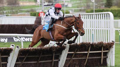 'He might be the one to try it with' - audacious Dawn Run double on Willie Mullins' mind for the brilliant Ballyburn