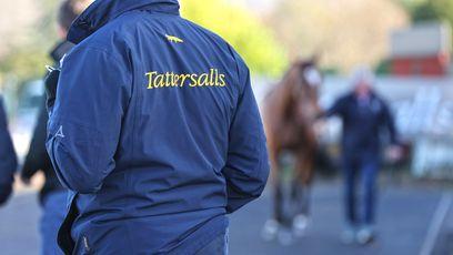 Well-related winners and placed performers feature at the Tattersalls Cheltenham April Sale