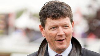 6.10 Windsor: will form of runaway Dante winner Economics prove key? - analysis and key quotes for fillies' maiden