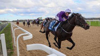 4.10 Curragh: Elegant Man takes in first turf start in Group 2 after impressive Newcastle Finals day romp