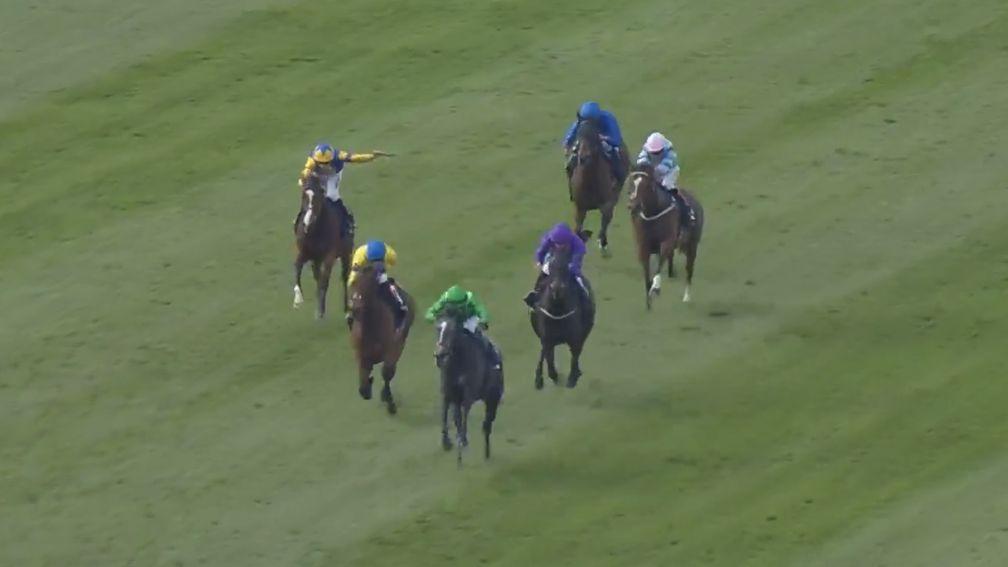 Running Lion (grey) went around three lengths clear in the Dahlia Stakes but was eventually reeled in by Stay Alert (left)