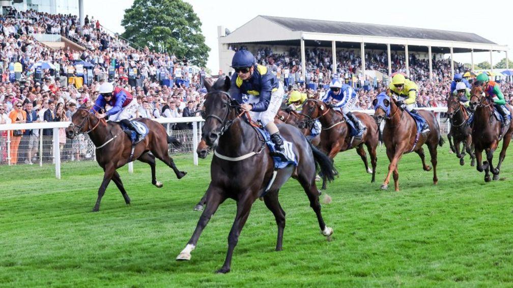 Royal Aclaim: a brilliant winner of the City Walls Stakes last time