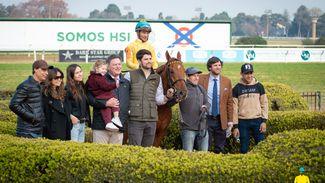 Daddy's home for Haras Abolengo as new Argentinian sensation takes flight
