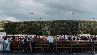 Arqana Summer Sale to be held over four days due to significant increase in entries