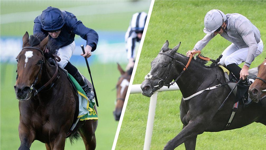 Ylang Ylang (left) and Fallen Angel: head the betting for the 1,000 Guineas