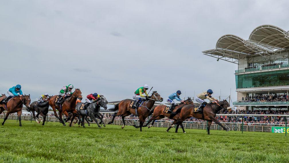 Newmarket: 5mm of rain fell at the track on Friday
