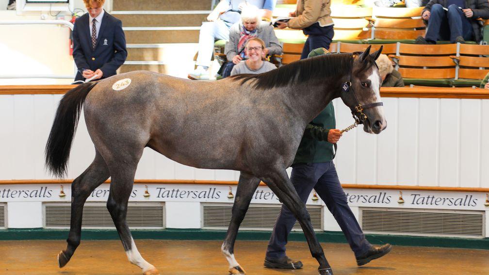 Symbol Of Hope in the Park Paddocks ring before selling to Godolphin for 600,000gns