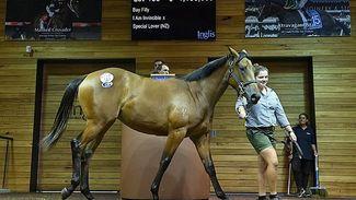 Carrick’s special I Am Invincible filly sets Melbourne record with A$1.1 million price tag