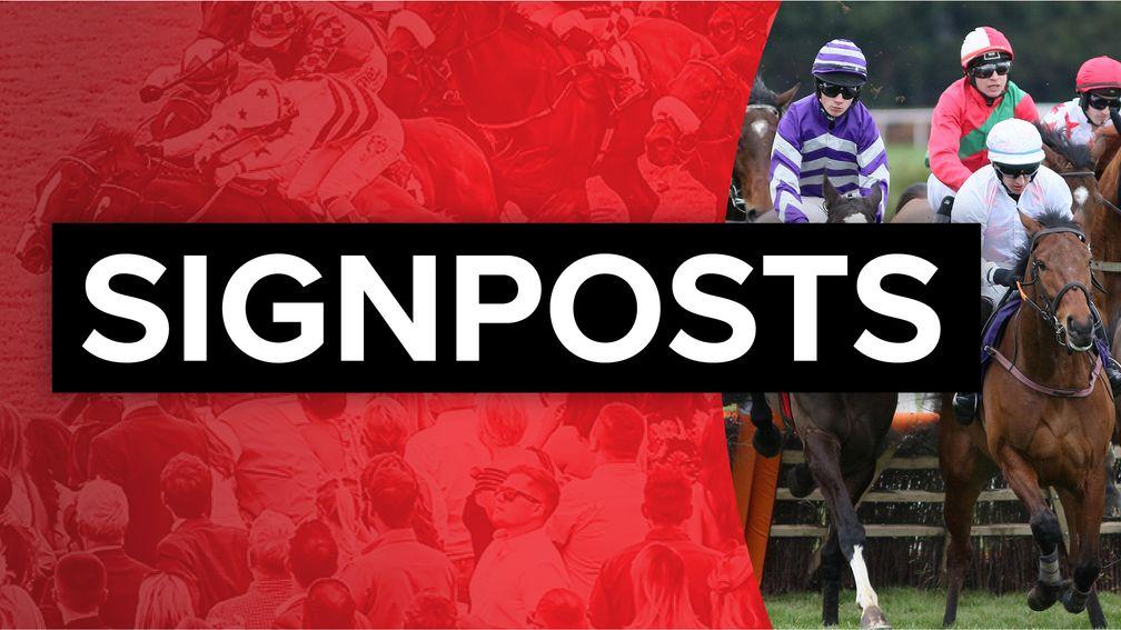 Signposts: punting pointers for Sunday's racing