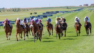 Dry forecast means Newmarket ground set to ride marginally quicker on Sunday