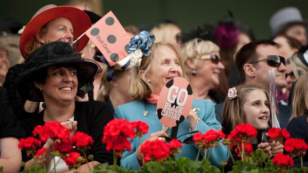 Black Caviar fans decked out in their horse's colours at Royal Ascot